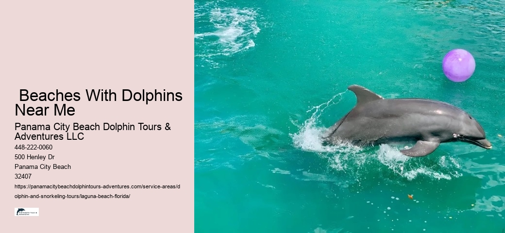  Beaches With Dolphins Near Me