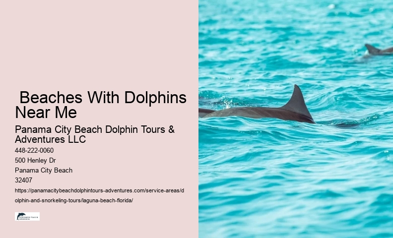 What does it mean when you see dolphins at the beach