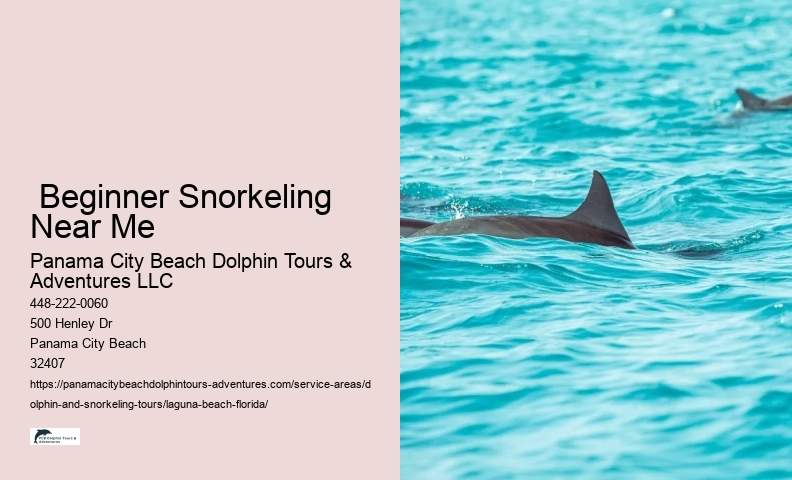 Snorkeling Excursion Near Me