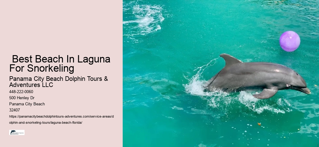 Diving Tours Near Me
