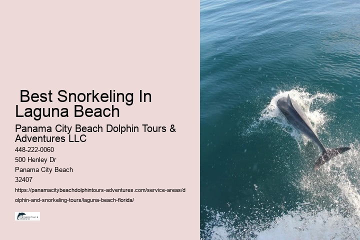  Best Snorkeling In Laguna Beach