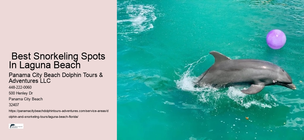  Best Snorkeling Spots In Laguna Beach