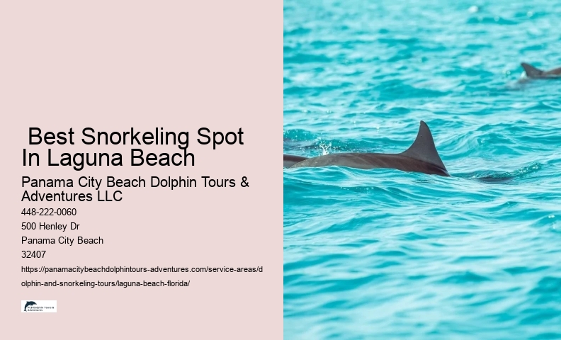 Dolphin Tours Near Me