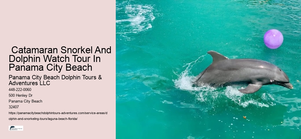  Catamaran Snorkel And Dolphin Watch Tour In Panama City Beach