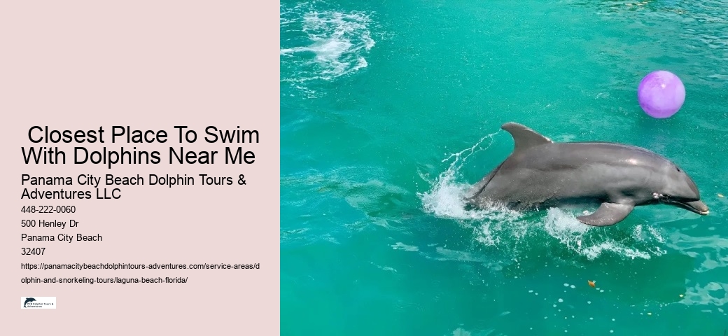  Closest Place To Swim With Dolphins Near Me