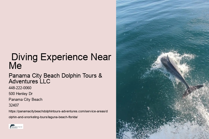  Diving Experience Near Me
