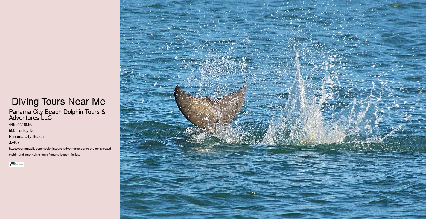 Swimming With Dolphins Florida Near Me
