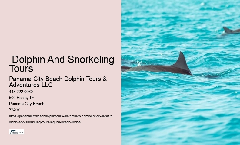  Dolphin And Snorkeling Tours