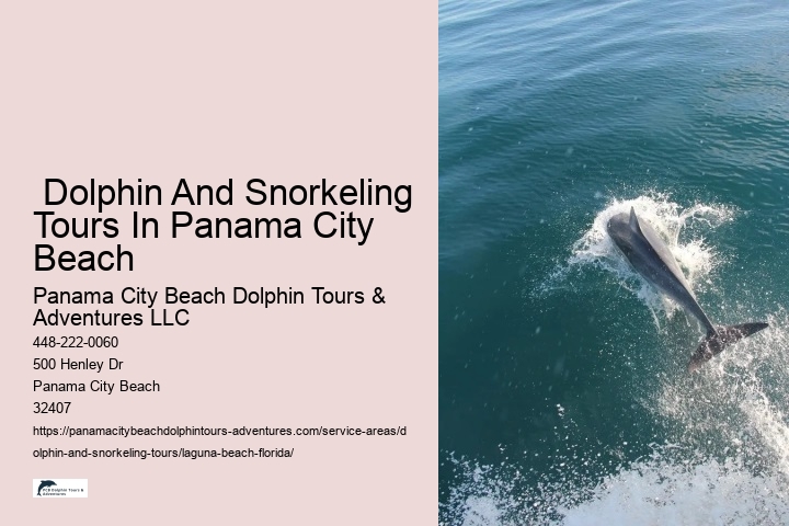  Dolphin And Snorkeling Tours In Panama City Beach