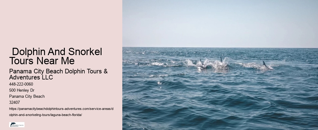 Dolphin Swim & Blue Lagoon Beach Fun With Lunch