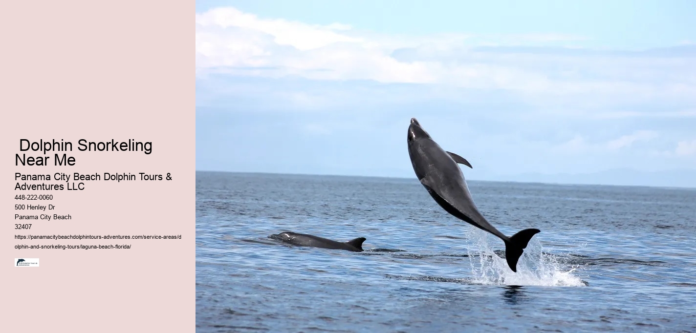  Dolphin Snorkeling Near Me
