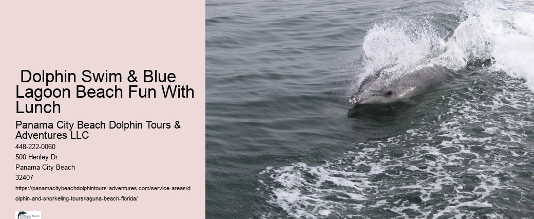 Dolphin Cruise Near Me
