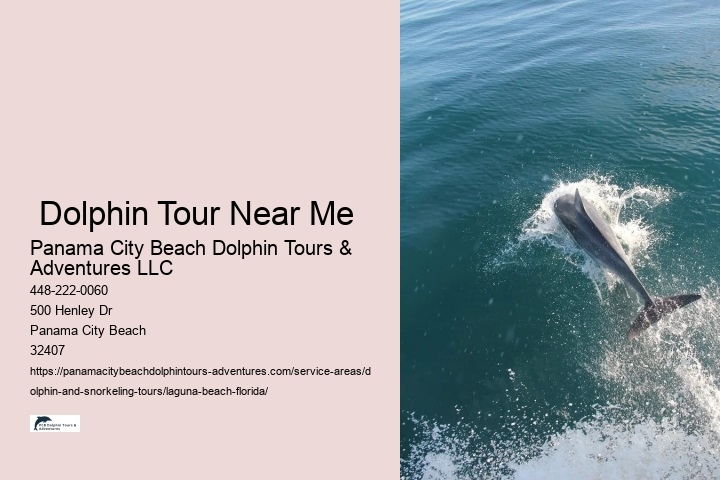  Dolphin Tour Near Me