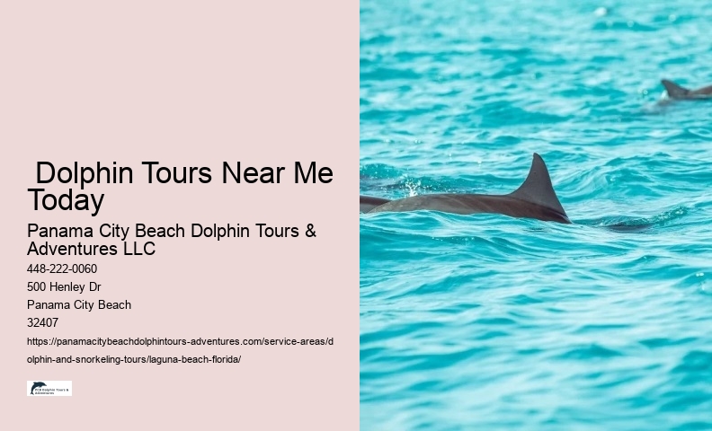 Dolphin Tours Near Me Today