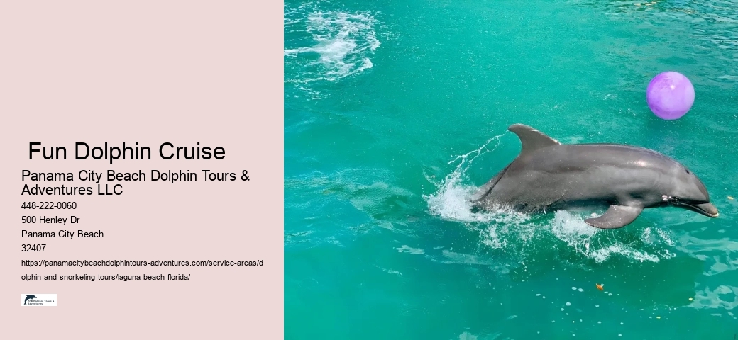 Dolphin Tours Near Me Panama City Beach