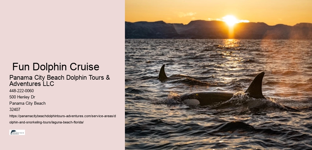 Closest Place To Swim With Dolphins Near Me