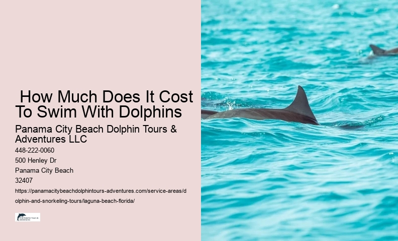 Dolphin Swim & Blue Lagoon Beach Fun With Lunch