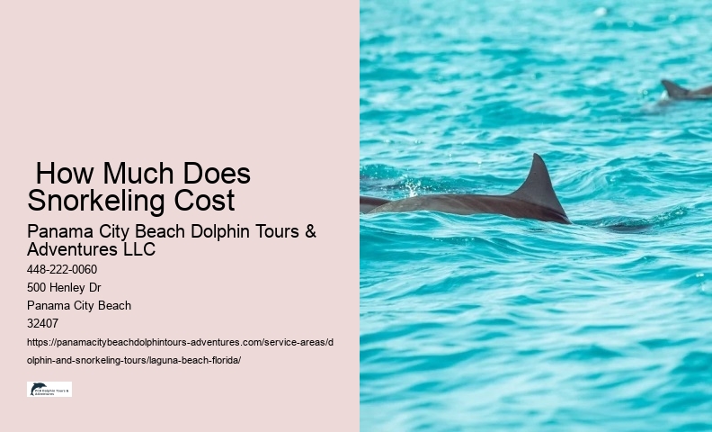  How Much Does Snorkeling Cost