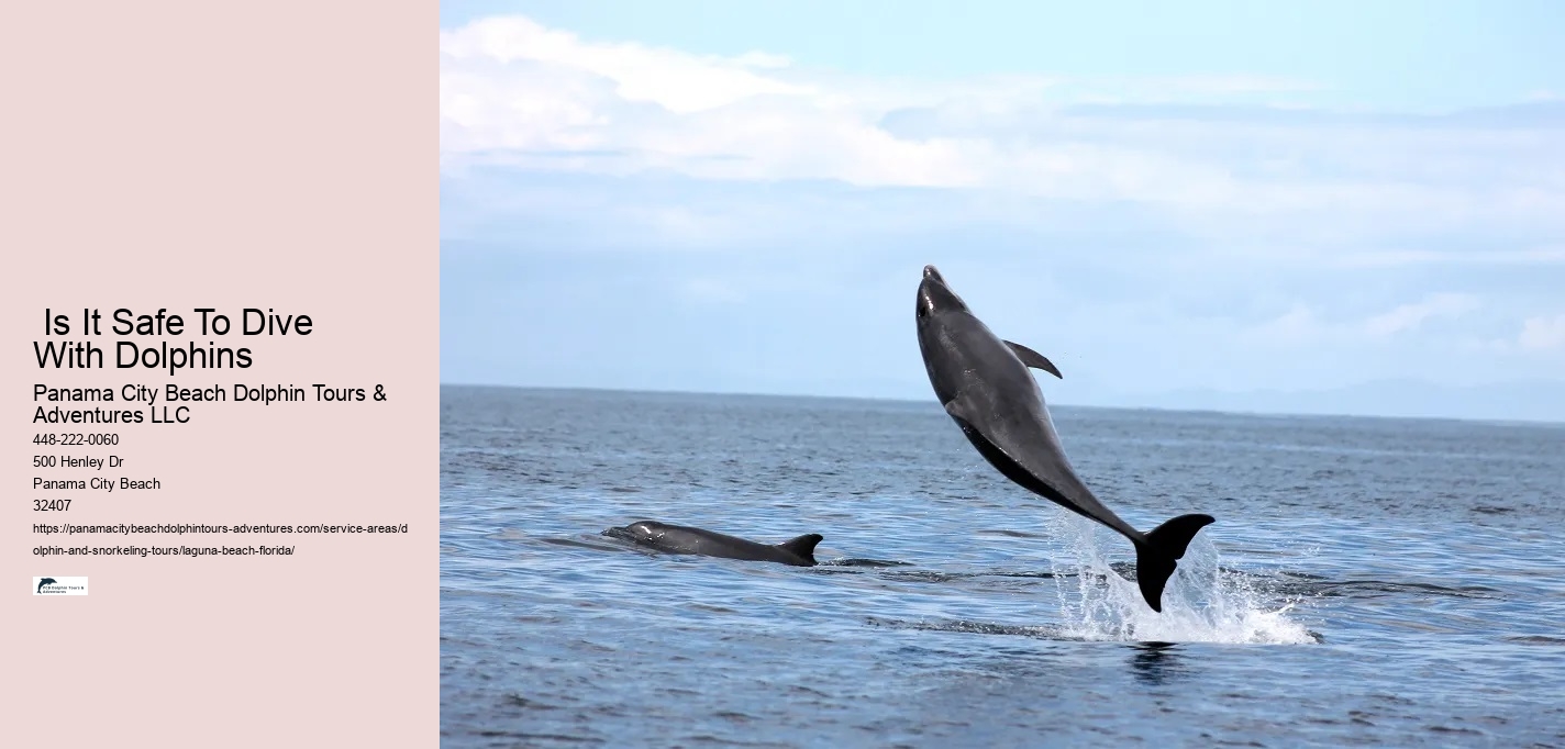  Is It Safe To Dive With Dolphins