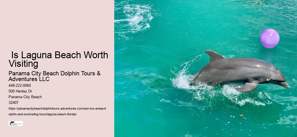 What time of year are dolphins in Florida
