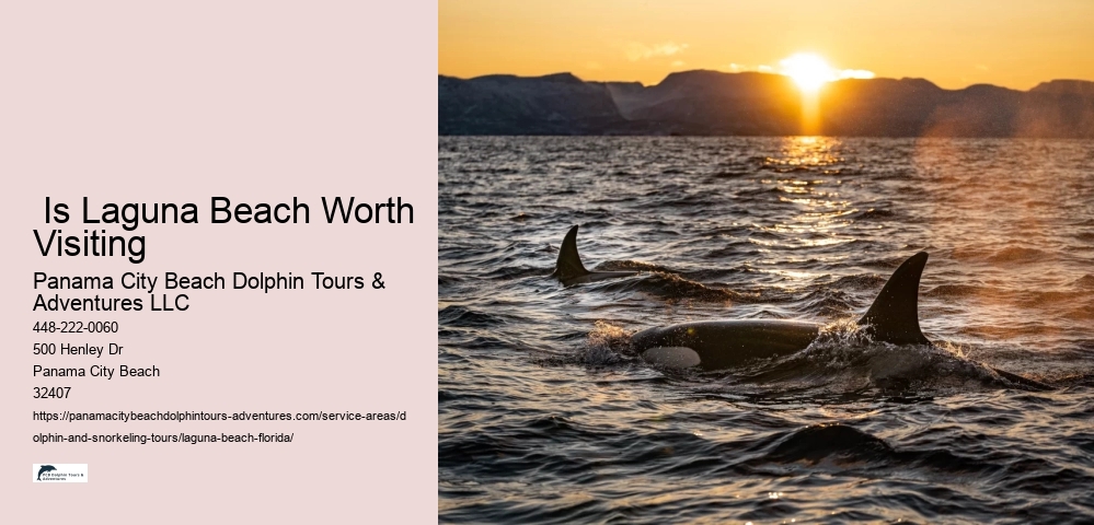 And Snorkeling Tours