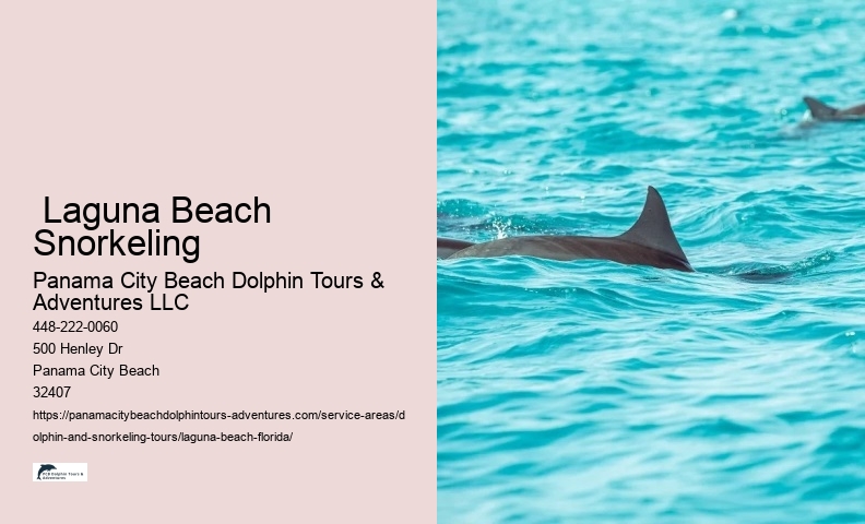  Laguna Beach Snorkeling