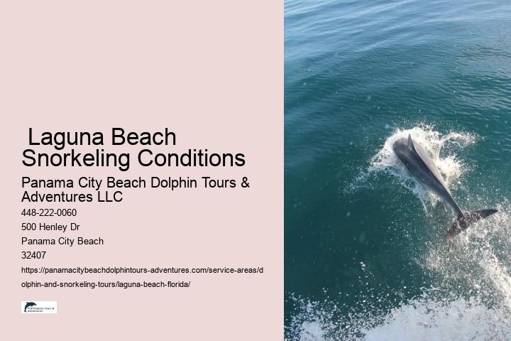  Laguna Beach Snorkeling Conditions