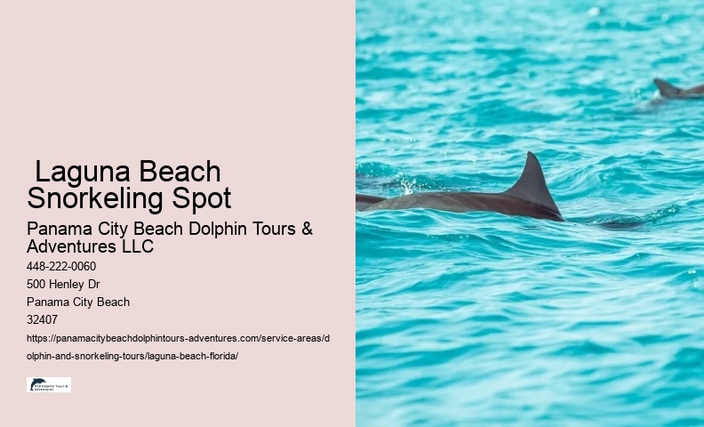  Laguna Beach Snorkeling Spot