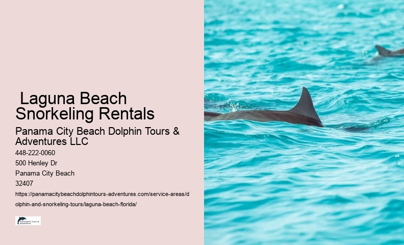 Best Dolphin Tour Near Me