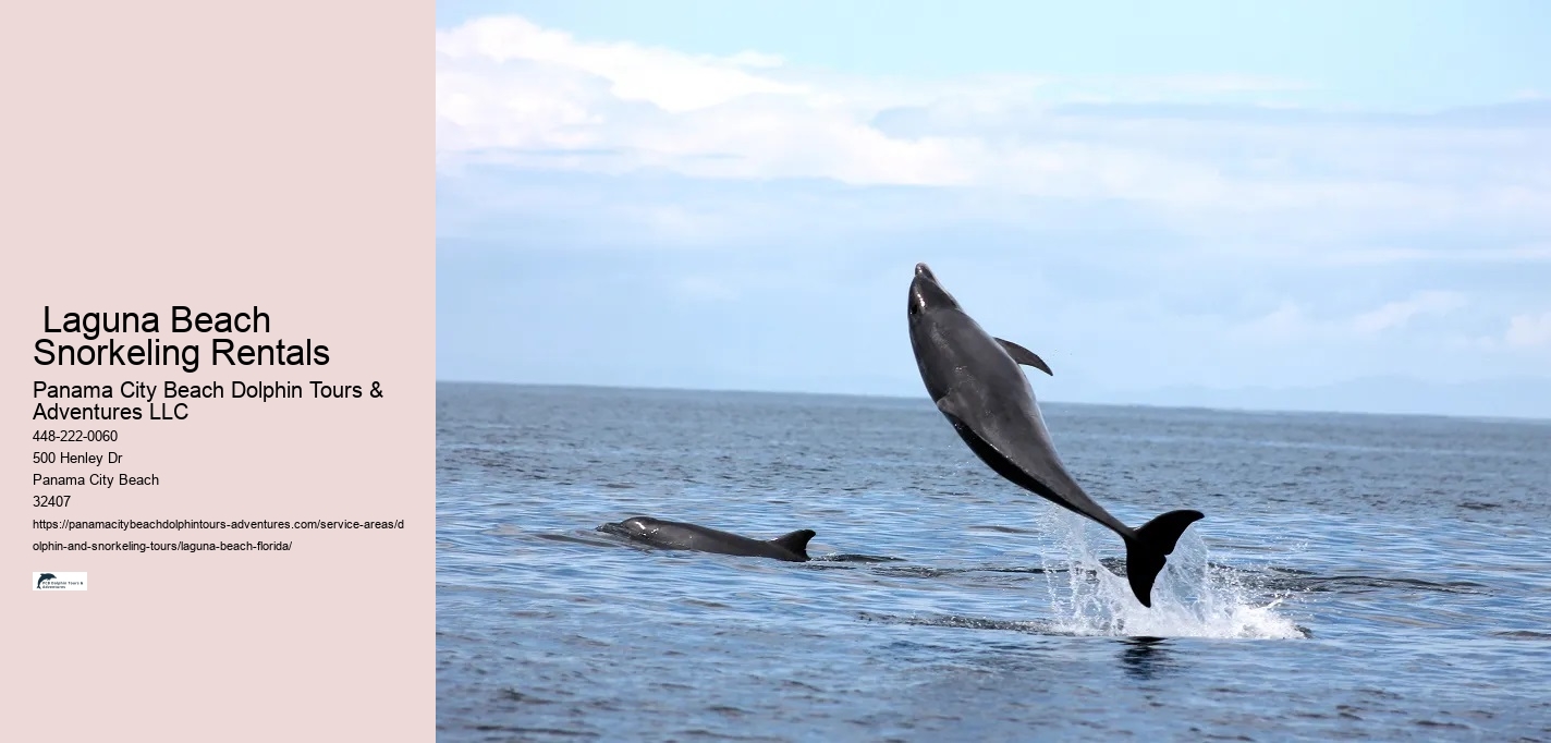 Closest Dolphin Tour Near Me