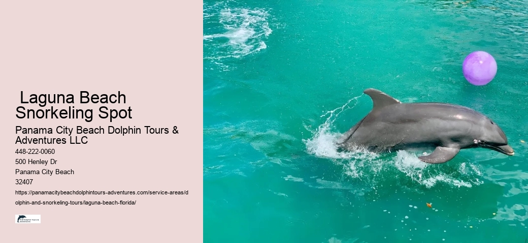 Whale And Dolphin Watching Near Me
