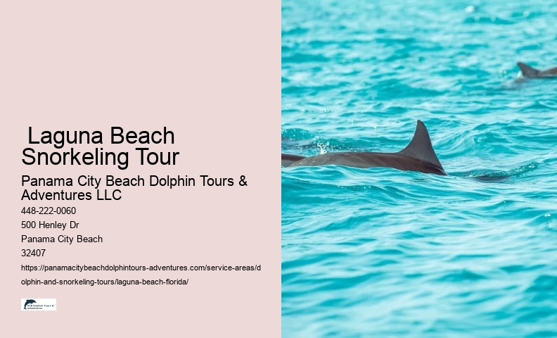 Panama City Dolphin Tours