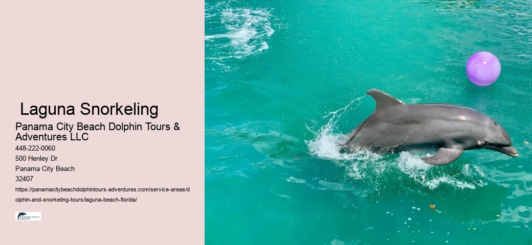 Diving Excursions Near Me