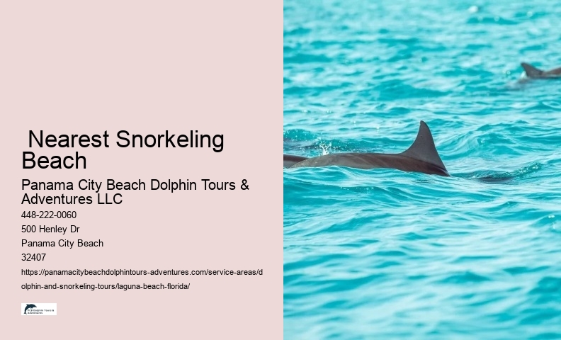  Nearest Snorkeling Beach