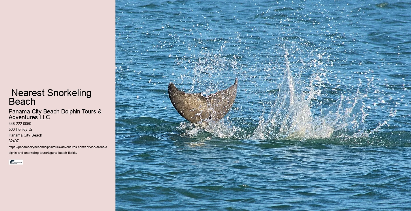 Closest Place To See Dolphins