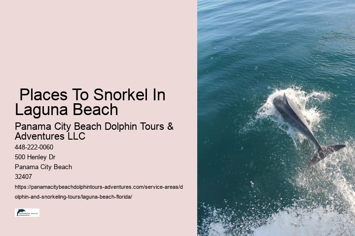  Places To Snorkel In Laguna Beach