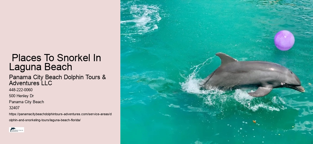 Local Snorkeling