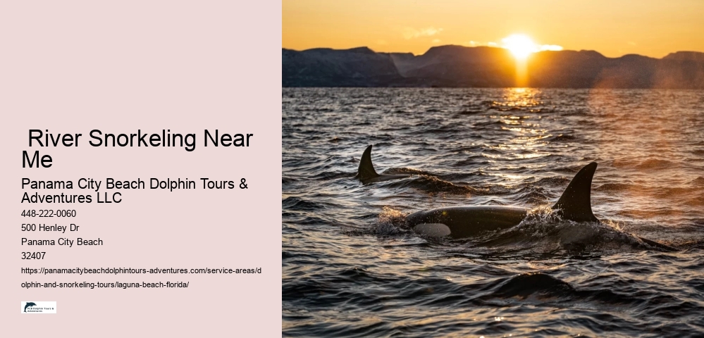 Snorkeling Vip Tours