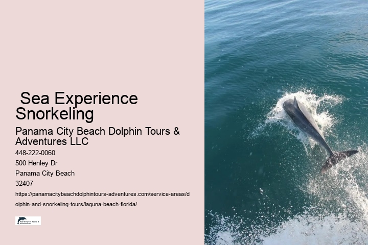  Sea Experience Snorkeling