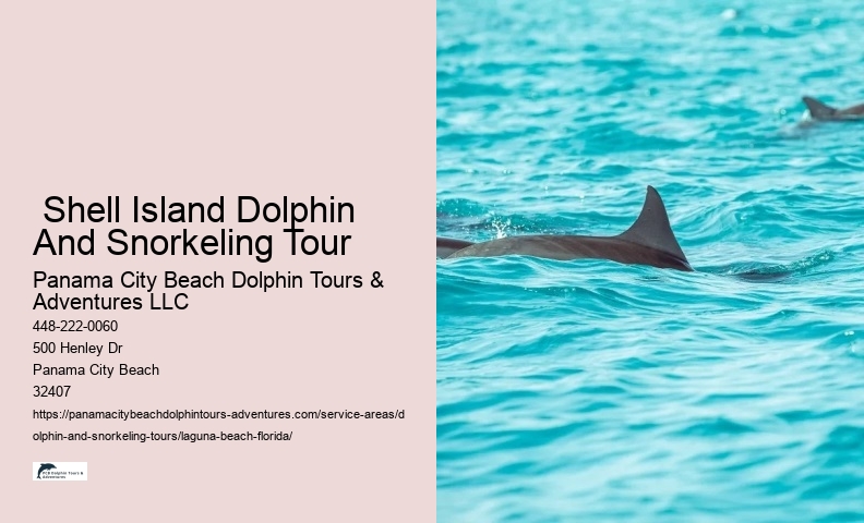 Shell Island Dolphin And Snorkeling Tour