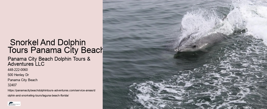  Snorkel And Dolphin Tours Panama City Beach