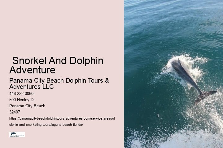  Snorkel And Dolphin Adventure
