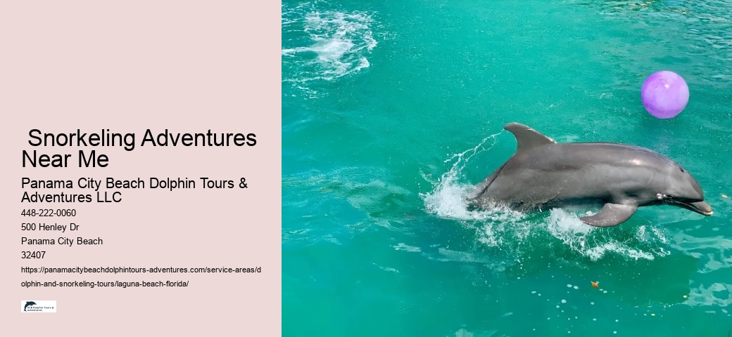 What month is best for dolphin watching