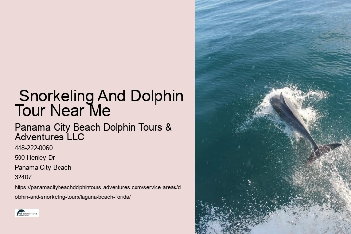  Snorkeling And Dolphin Tour Near Me