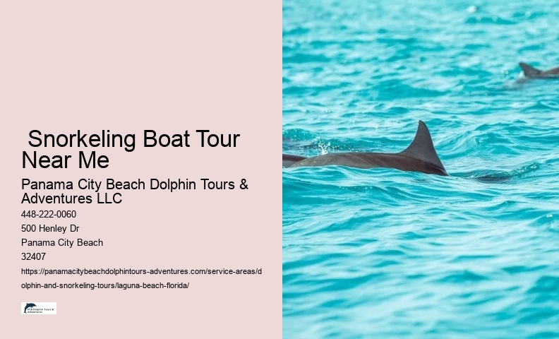  Snorkeling Boat Tour Near Me