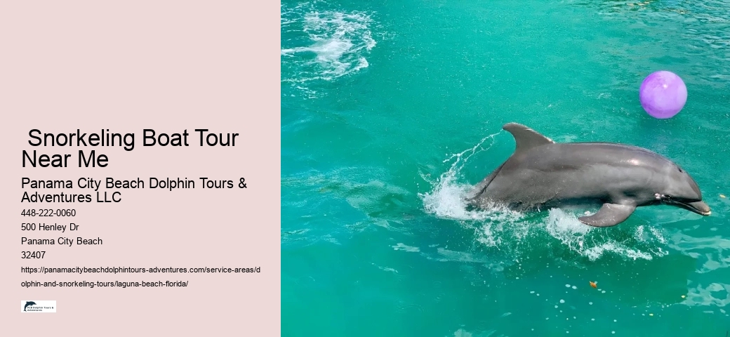 Kayaking With Dolphins Near Me