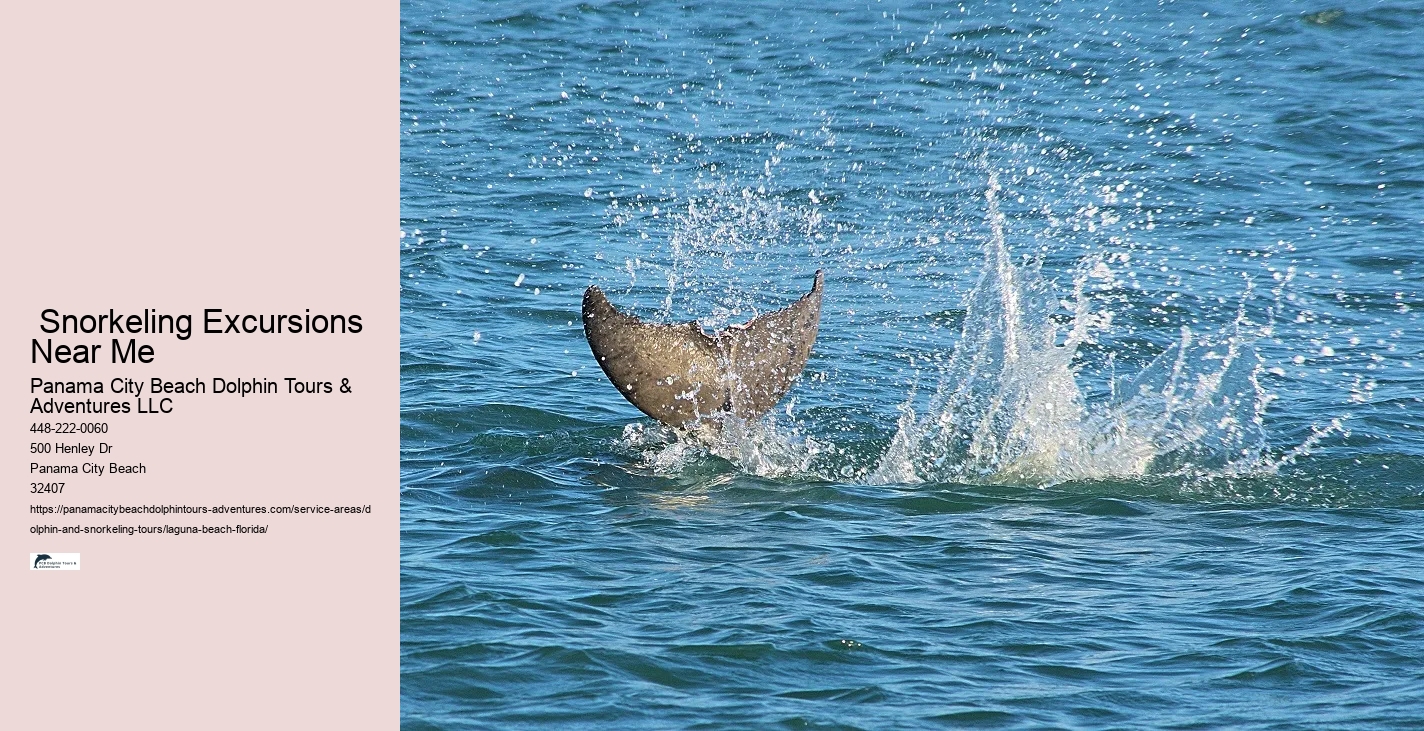 Are Dolphin Tours Safe