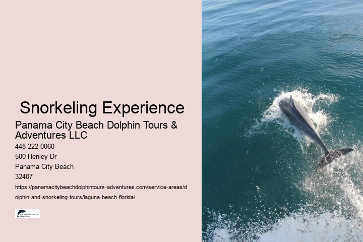  Snorkeling Experience