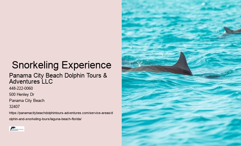 Best Snorkeling Tours Near Me