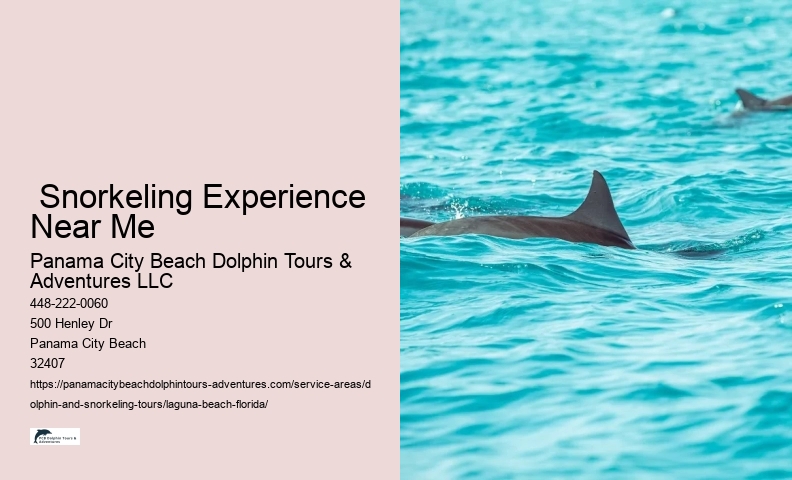 Where Can I See A Dolphin Show